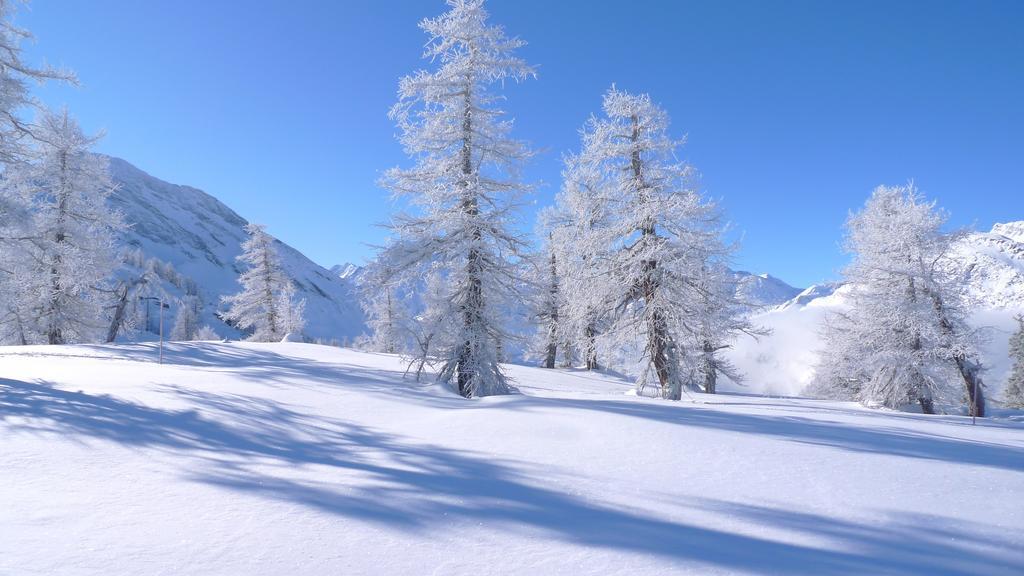 Berggasthaus Wasenalp Brig Εξωτερικό φωτογραφία